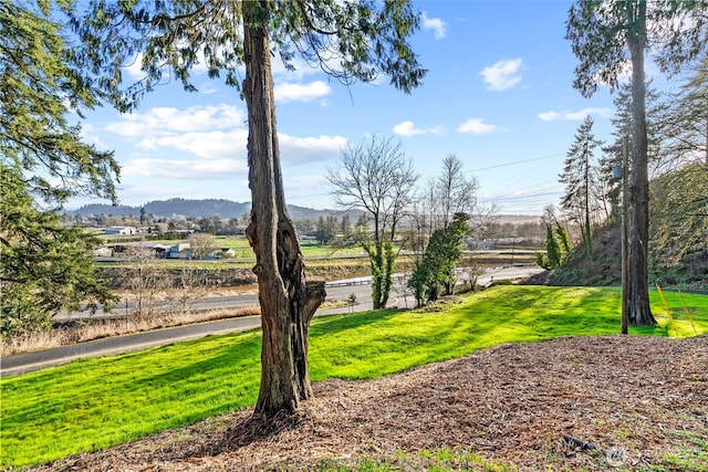 view of yard featuring a mountain view