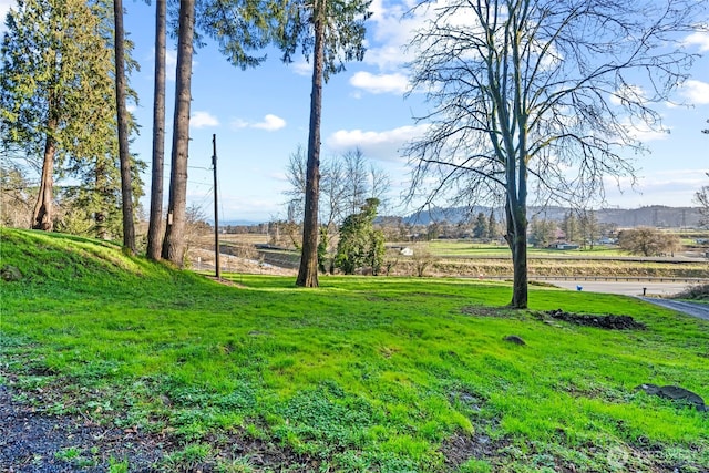 view of yard with a rural view and a mountain view