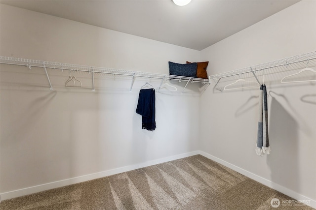 walk in closet with carpet