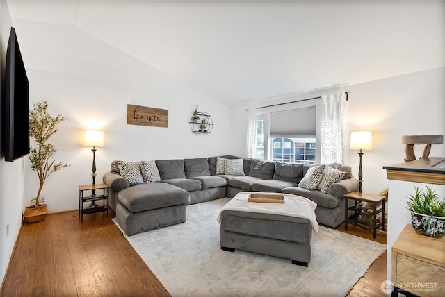 living area featuring vaulted ceiling and light wood finished floors