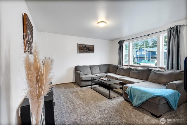 living room featuring carpet floors