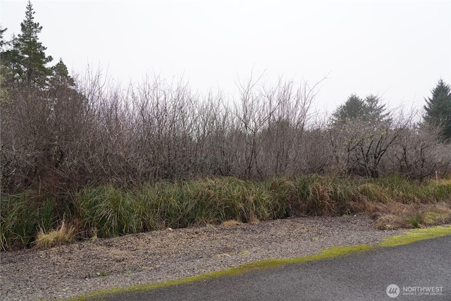 0 147th Pl, Long Beach WA, 98631 land for sale