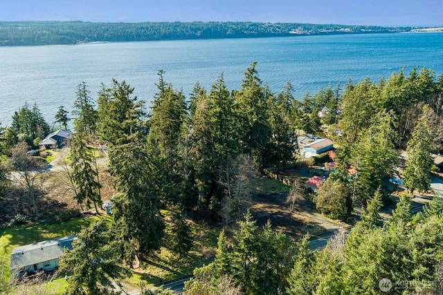 3492 E Harbor Rd, Langley, WA 98260