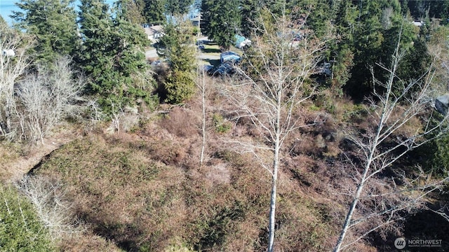 1210 Irondale Rd, Port Hadlock WA, 98339 land for sale