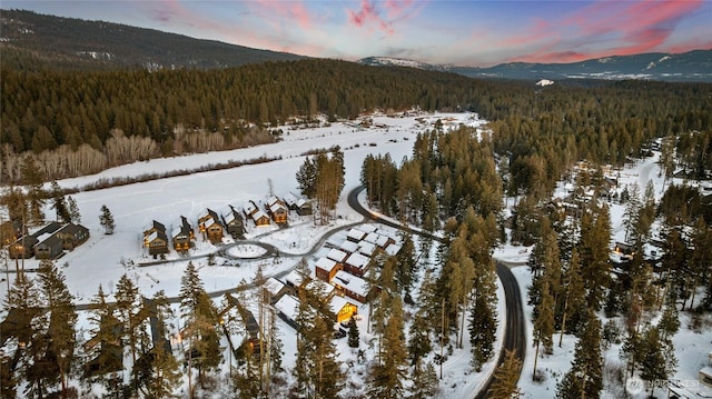 snowy aerial view featuring a mountain view and a view of trees