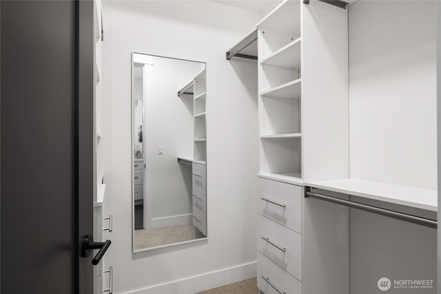 view of spacious closet