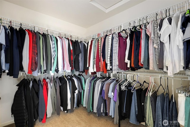 walk in closet featuring carpet and attic access