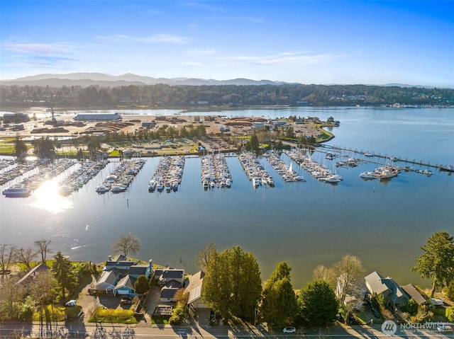 birds eye view of property with a water and mountain view