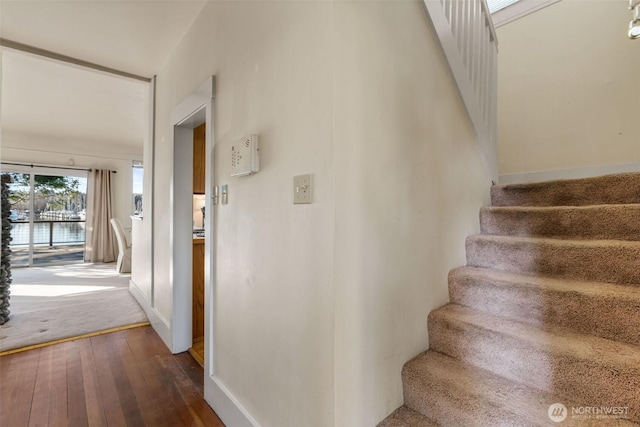 stairs featuring wood-type flooring and baseboards