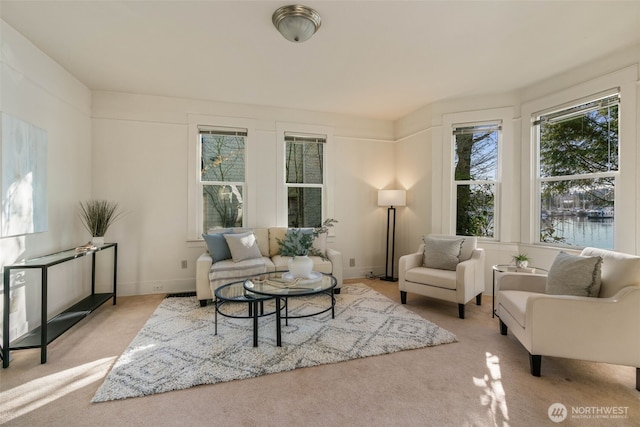 sitting room featuring light colored carpet