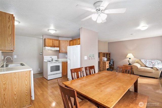 dining area featuring baseboards, light wood-type flooring, and ceiling fan