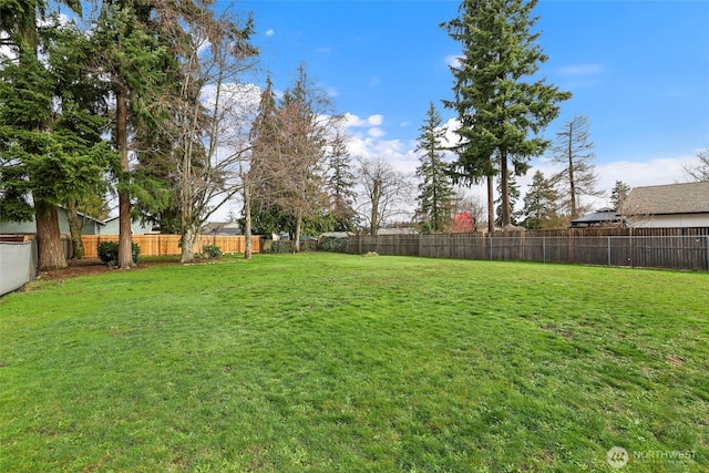 view of yard with a fenced backyard