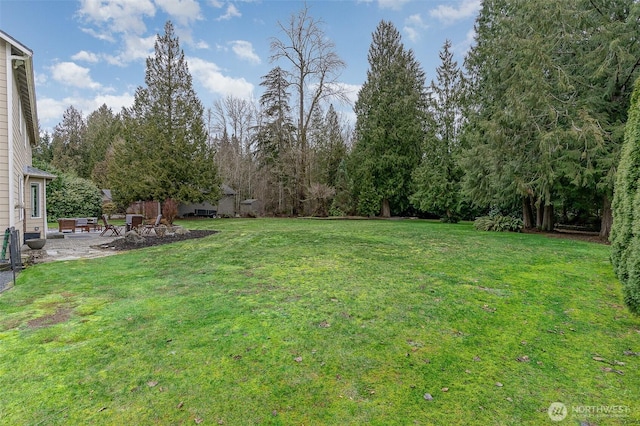 view of yard featuring a patio