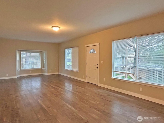 foyer entrance with dark wood-type flooring, a wealth of natural light, and baseboards