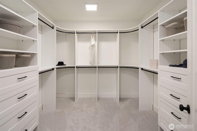 spacious closet with light carpet