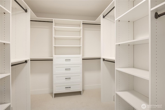 walk in closet with light carpet