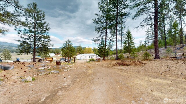 722 Aeneas Valley Rd, Tonasket, WA 98855 - view of yard