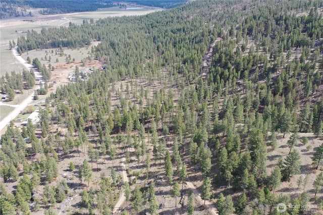 722 Aeneas Valley Rd, Tonasket, WA 98855 - bird's eye view with a forest view
