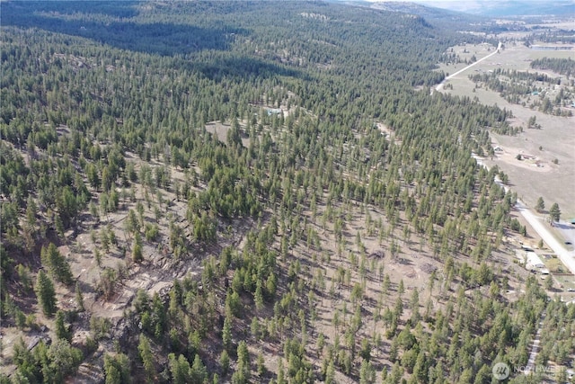 722 Aeneas Valley Rd, Tonasket, WA 98855 - aerial view with a view of trees and a mountain view