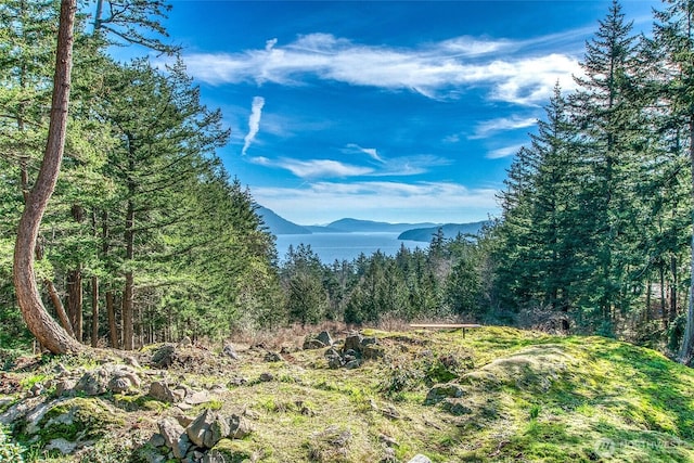 mountain view featuring a forest view