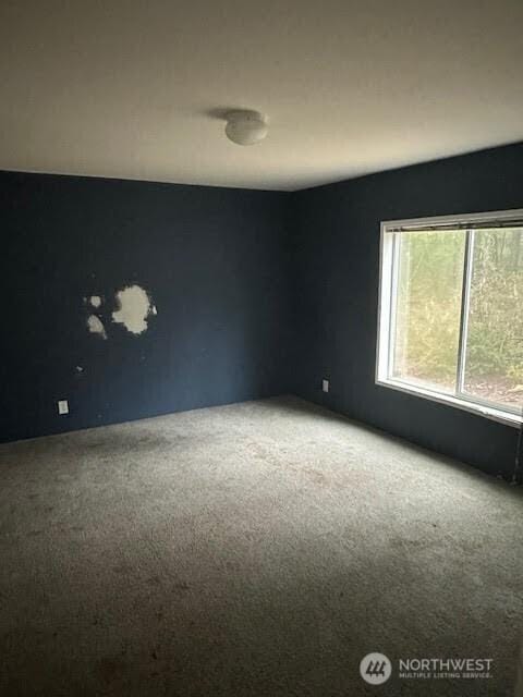 view of carpeted spare room