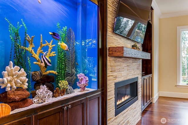 details with a glass covered fireplace, crown molding, baseboards, and wood finished floors