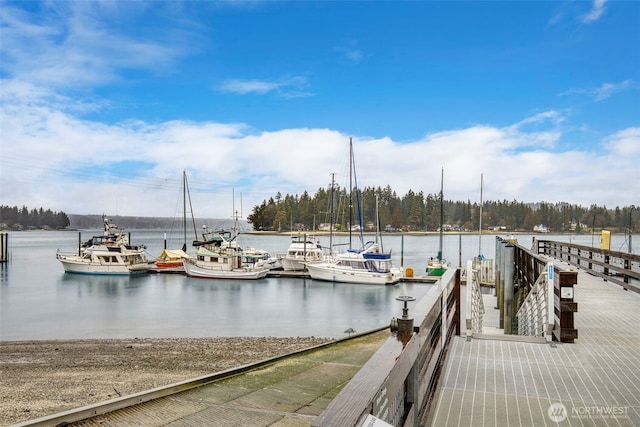 dock area featuring a water view