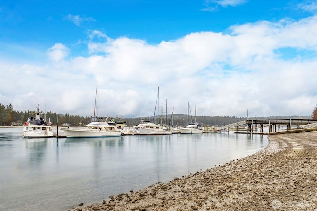 property view of water featuring a boat dock