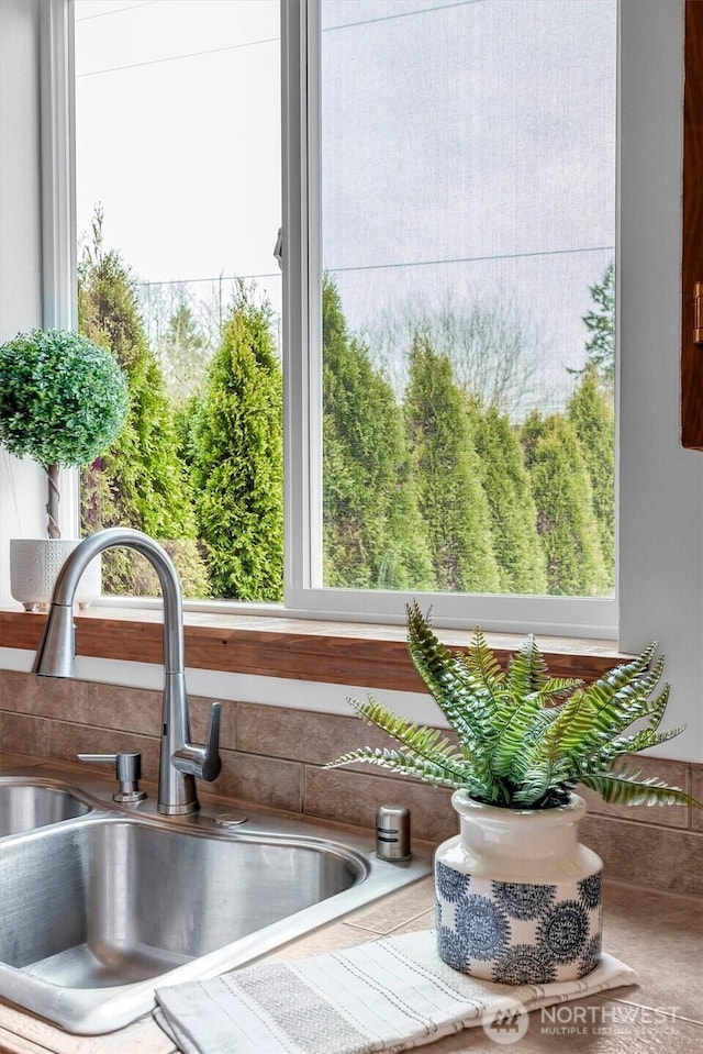 interior details featuring light countertops and a sink