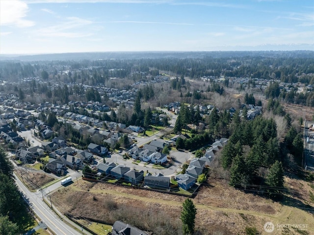 bird's eye view