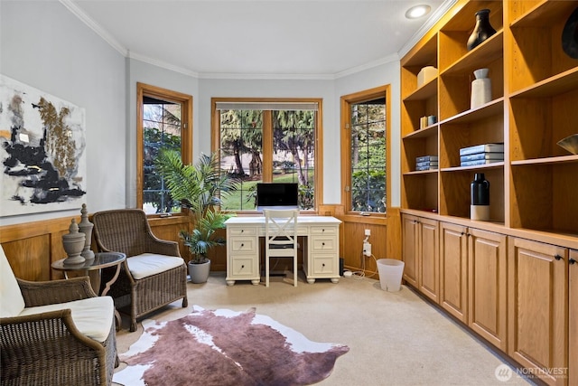 living area with light carpet, a wainscoted wall, and crown molding