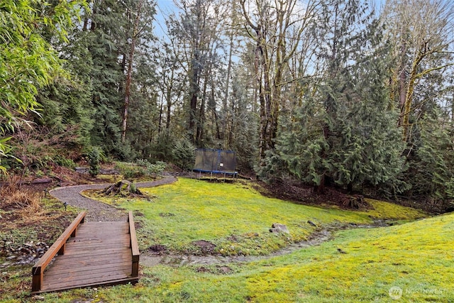 view of yard with a trampoline