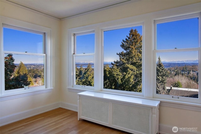 interior space featuring radiator, baseboards, and wood finished floors