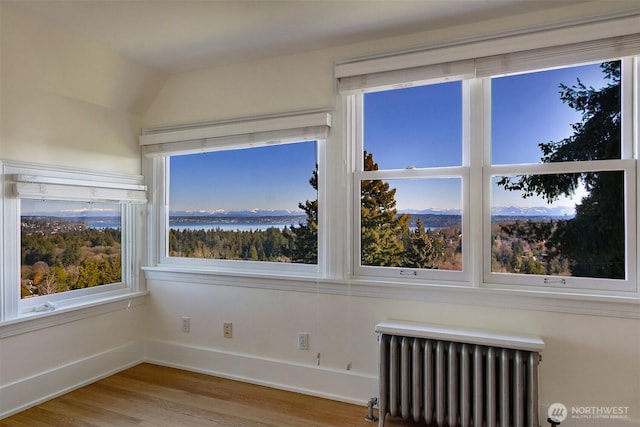 empty room featuring baseboards, a water view, wood finished floors, and radiator