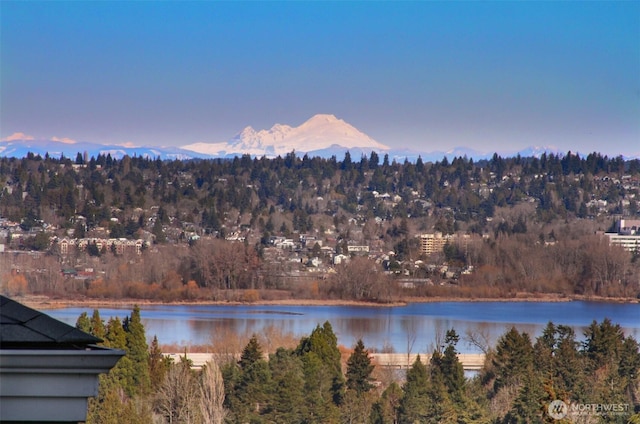 property view of water featuring a mountain view