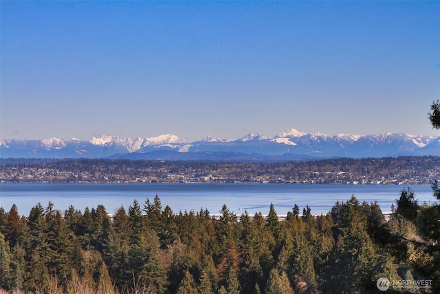 water view with a mountain view