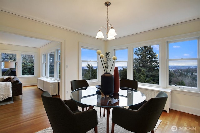 dining room with light wood-style floors, radiator, a notable chandelier, and baseboards