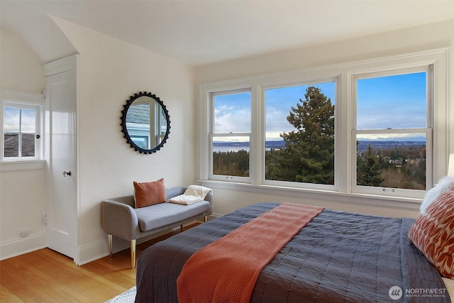 bedroom featuring baseboards and wood finished floors