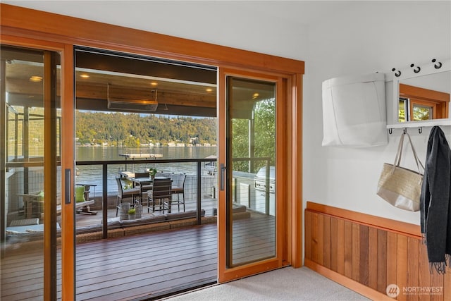 entryway with carpet floors, wooden walls, plenty of natural light, and a wainscoted wall