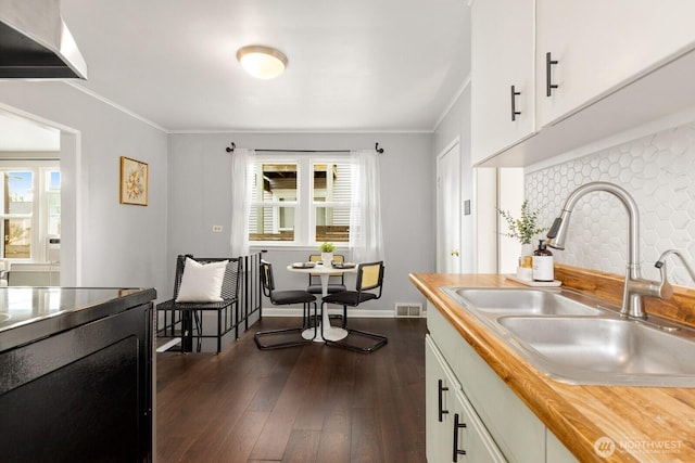 kitchen with plenty of natural light, visible vents, dark wood-style floors, a sink, and backsplash