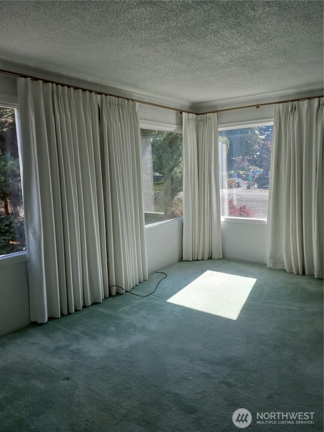 spare room with a healthy amount of sunlight, carpet flooring, and a textured ceiling