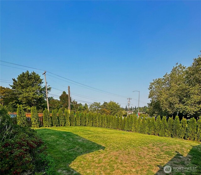 9203 29th Ave SW Unit A, Seattle, WA 98126 - view of green lawn