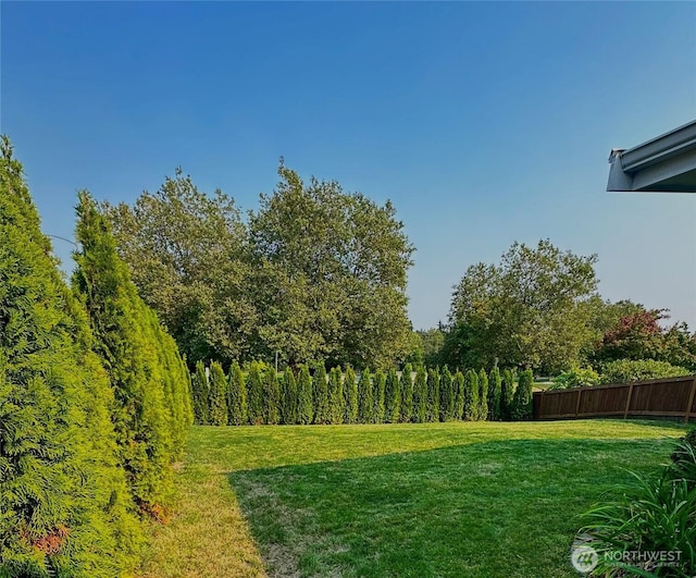 9203 29th Ave SW Unit A, Seattle, WA 98126 - view of yard