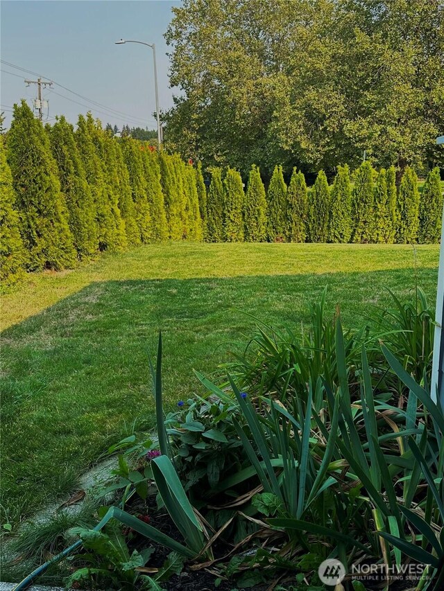 9203 29th Ave SW Unit A, Seattle, WA 98126 - view of green lawn