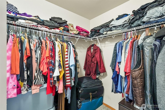 spacious closet with carpet floors