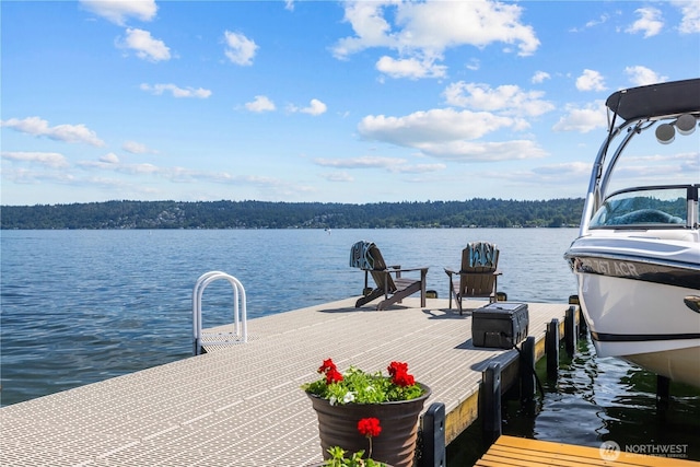 dock area featuring a water view