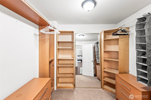 spacious closet featuring light colored carpet