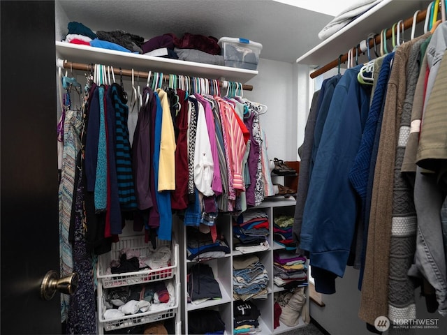 view of spacious closet