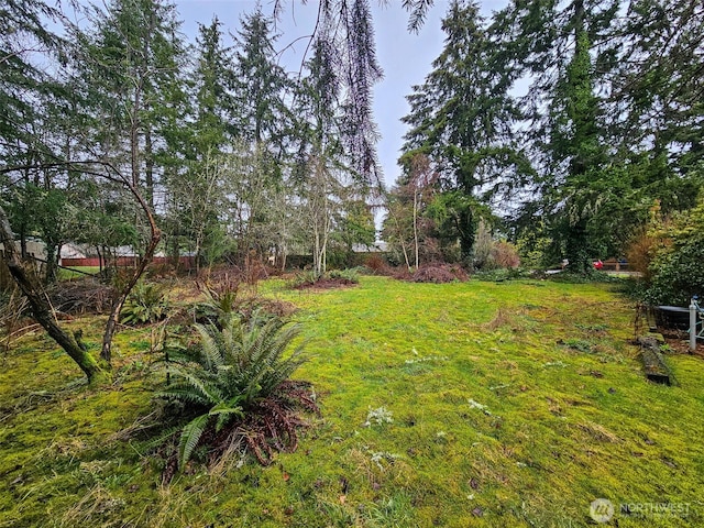 1713 Mike Ct NE, Olympia WA, 98506 land for sale