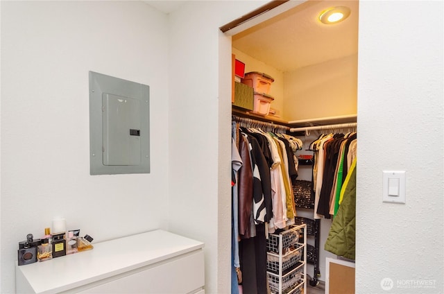 spacious closet with electric panel